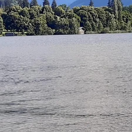 Wildente Am Appartement Maishofen