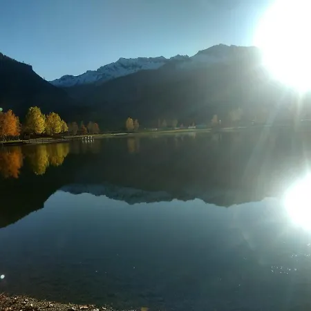 Wildente Am Appartement