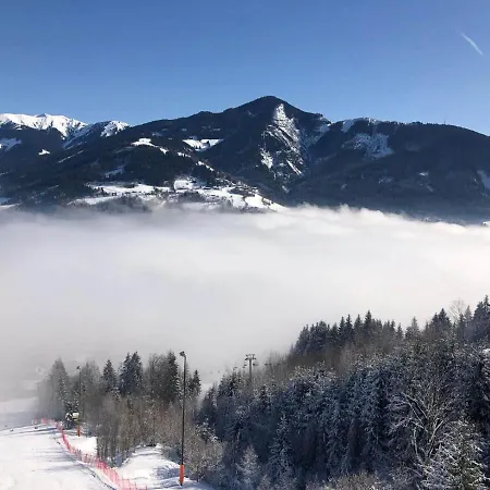 Wildente Am * Майсхофен