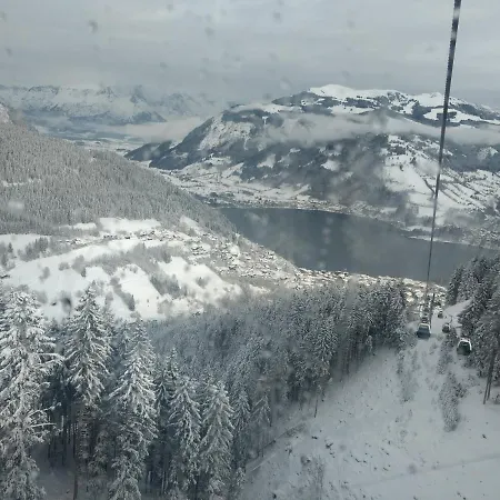 Wildente Am * Майсхофен