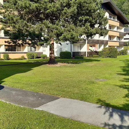 Wildente Am Maishofen