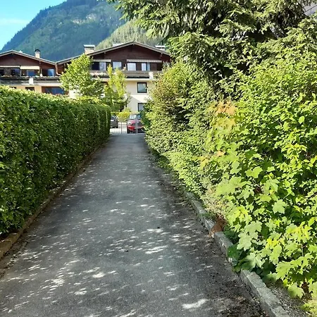 Wildente Am Майсхофен