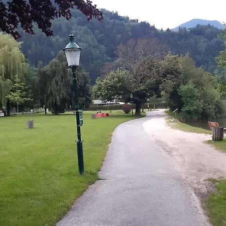 Wildente Am Maishofen