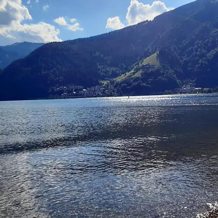 Wildente Am Appartement