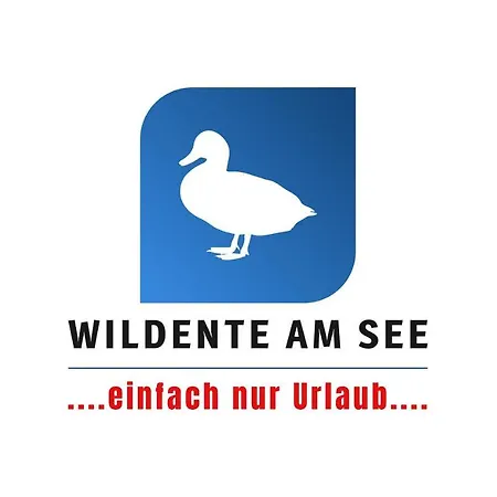 Wildente Am Maishofen