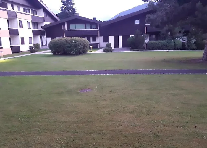 Wildente Am Daire