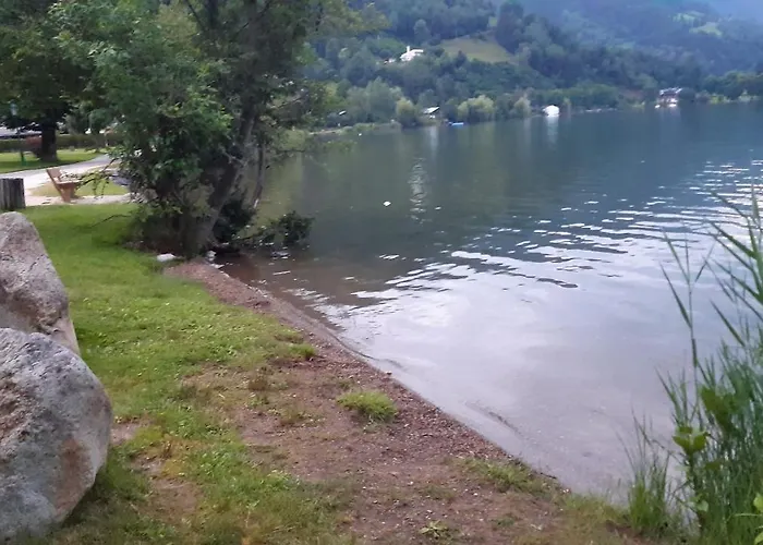 Wildente Am Daire *